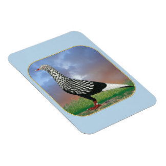 Flying Flight and Clouds Magnet
