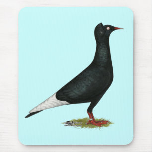 Flying Flight Black Cap Pigeon Mouse Pad