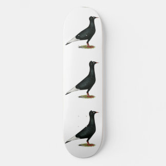 Flying Flight Black Cap Pigeon Skateboard