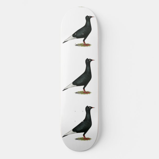 Flying Flight Black Cap Pigeon Skateboard (Front)