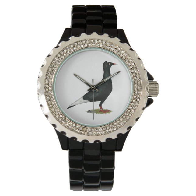 Flying Flight Black Cap Pigeon Watch (Front)
