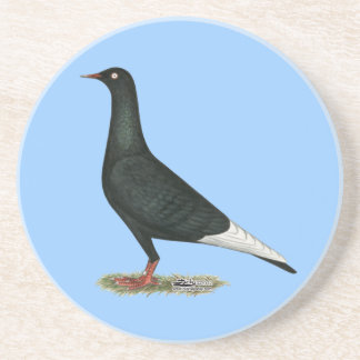 Flying Flight Black Pigeon Coaster