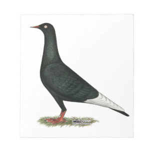 Flying Flight Black Pigeon Notepad