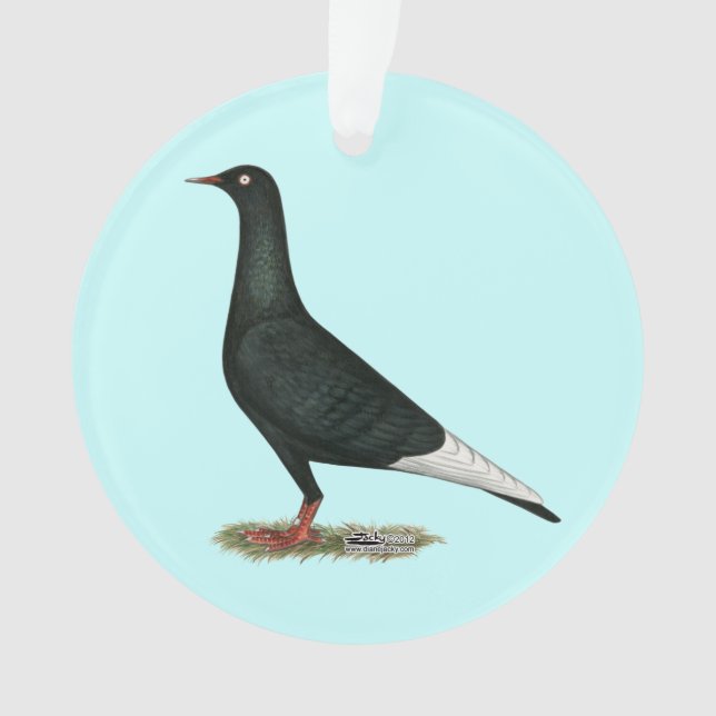 Flying Flight Black Pigeon Ornament (Front)