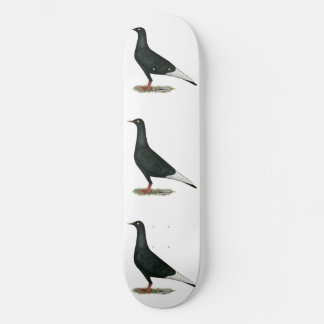 Flying Flight Black Pigeon Skateboard