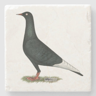Flying Flight Black Pigeon Stone Coaster
