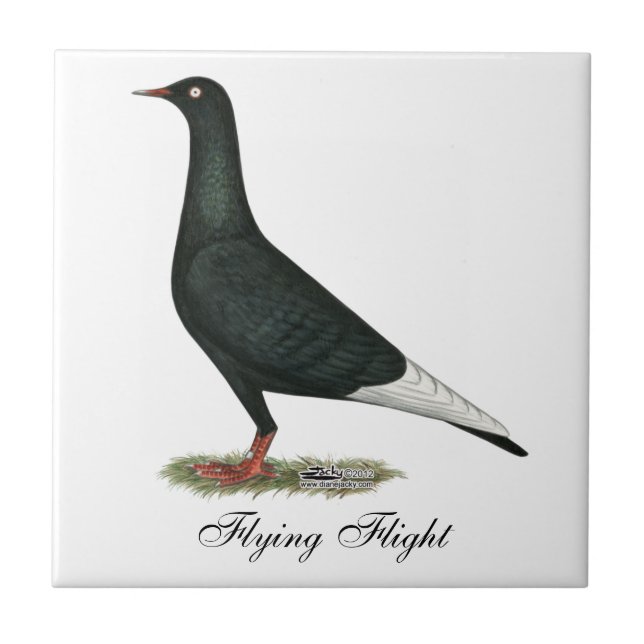 Flying Flight Black Pigeon Tile (Front)