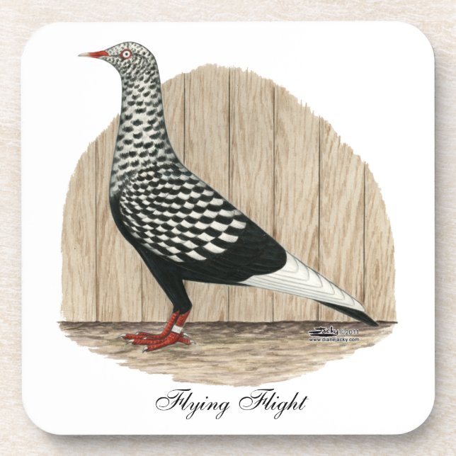 Flying Flight Black Teager Pigeon Coaster (Front)