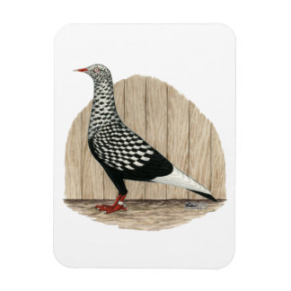 Flying Flight Black Teager Pigeon Magnet