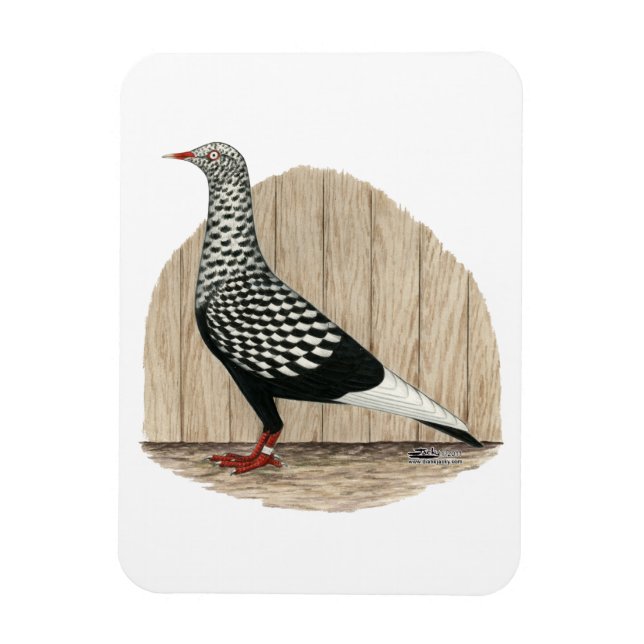 Flying Flight Black Teager Pigeon Magnet (Vertical)