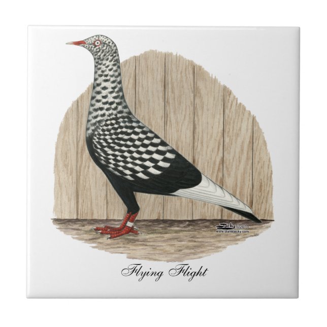Flying Flight Black Teager Pigeon Tile (Front)