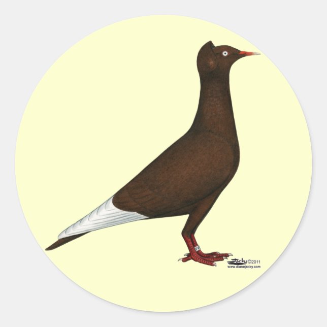 Flying Flight Cap Pigeon Classic Round Sticker (Front)
