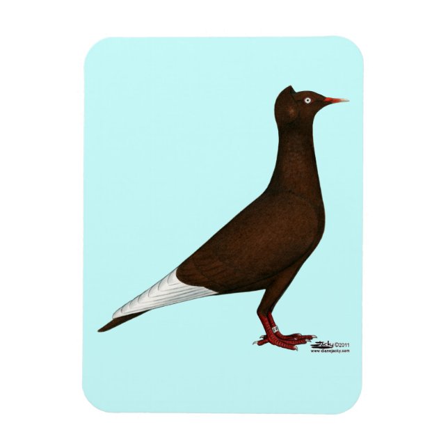 Flying Flight Cap Pigeon Magnet (Vertical)