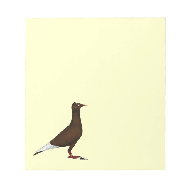 Flying Flight Cap Pigeon Notepad (Front)