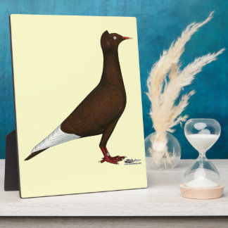 Flying Flight Cap Pigeon Plaque