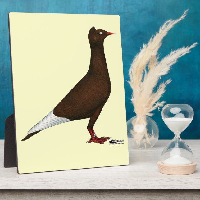 Flying Flight Cap Pigeon Plaque (Side)