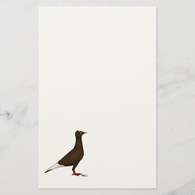 Flying Flight Cap Pigeon Stationery (Front)