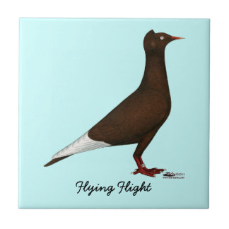 Flying Flight Cap Pigeon Tile