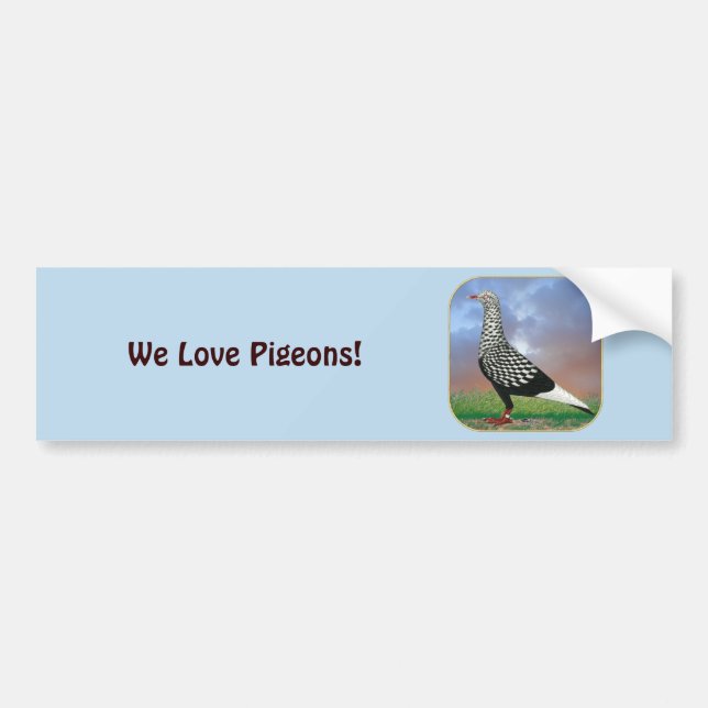 Flying Flight Pigeon and Clouds Bumper Sticker (Front)