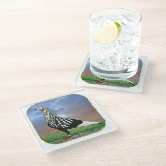 Flying Flight Pigeon and Clouds Glass Coaster