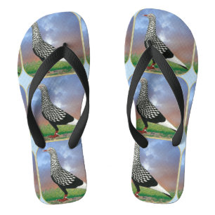 Flying Flight Pigeon and Clouds Jandals