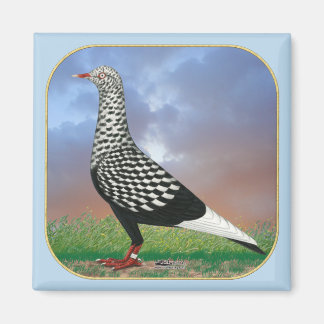 Flying Flight Pigeon and Clouds Magnet
