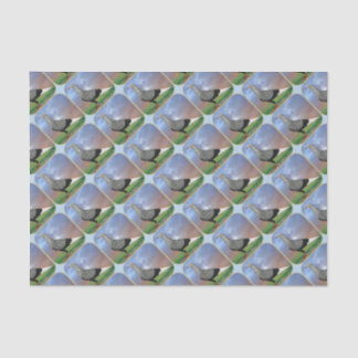 Flying Flight Pigeon and Clouds Tissue Paper
