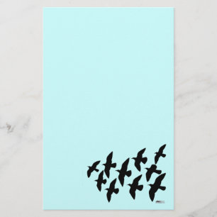 Flying Flight Pigeons