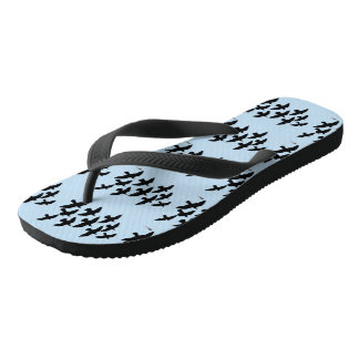 Flying Flight Pigeons Jandals