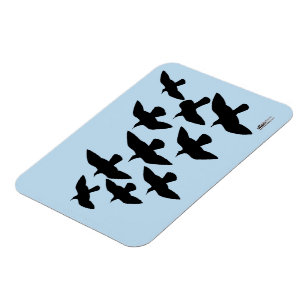 Flying Flight Pigeons Magnet