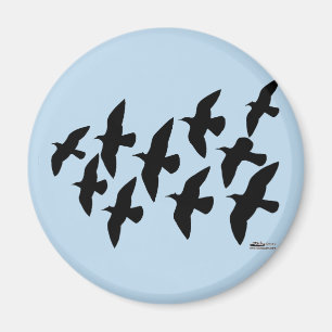 Flying Flight Pigeons Magnet