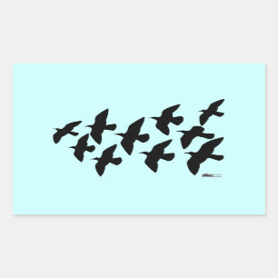 Flying Flight Pigeons Rectangular Sticker