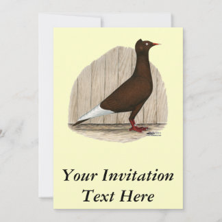 Flying Flight Red Cap Pigeon Invitation