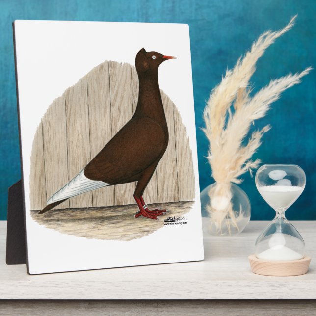 Flying Flight Red Cap Pigeon Plaque (Side)