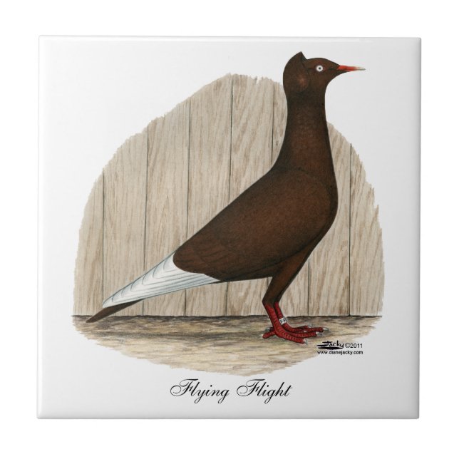 Flying Flight Red Cap Pigeon Tile (Front)