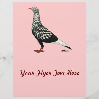 Flying Flight Teager Pigeon Flyer