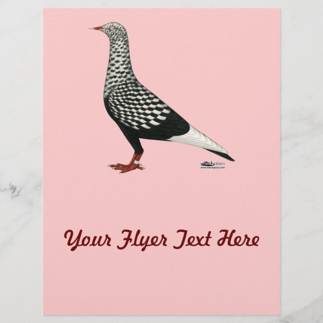 Flying Flight Teager Pigeon Flyer (Front)