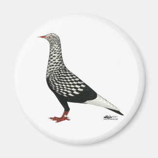 Flying Flight Teager Pigeon Magnet