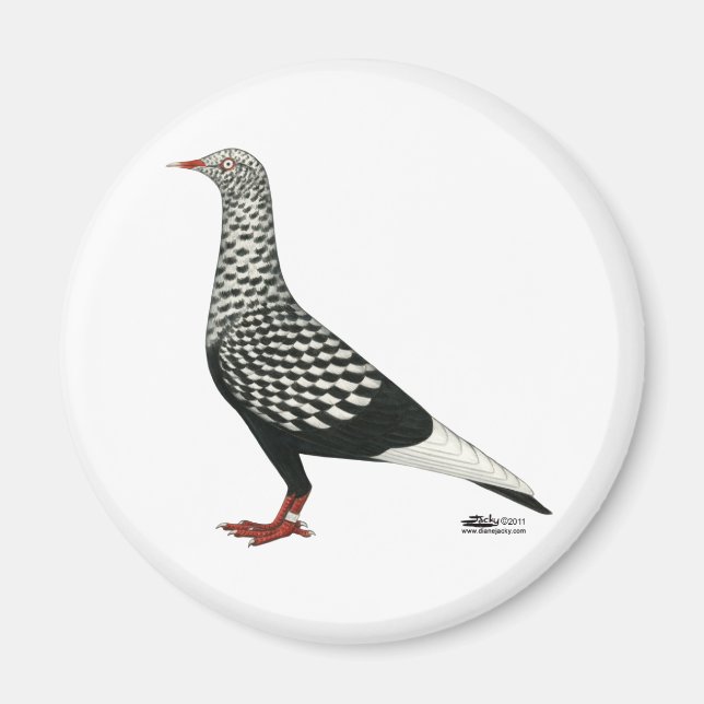 Flying Flight Teager Pigeon Magnet (Front)