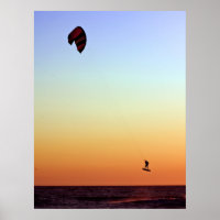 Flying Free