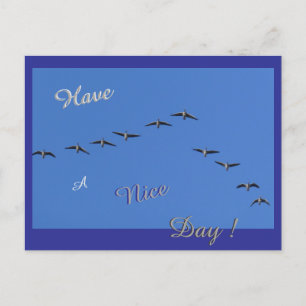 Flying Geese Cust. Have a Nice Day Postcard