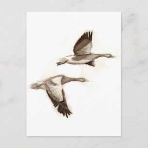 Flying geese drawing postcard