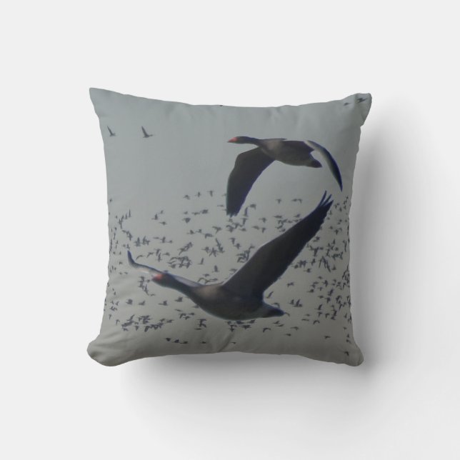Flying Geese Throw Pillow (Front)