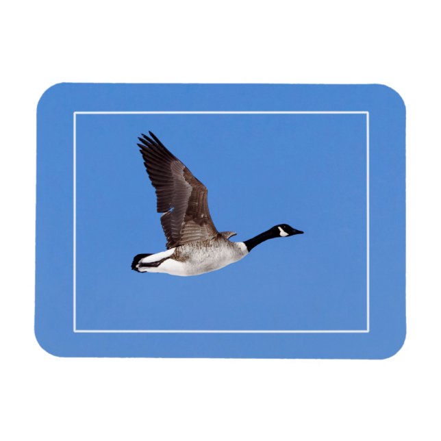 Flying Goose Magnet (Horizontal)