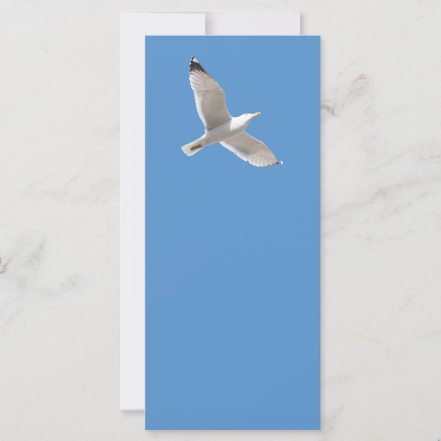Flying gull (Front)