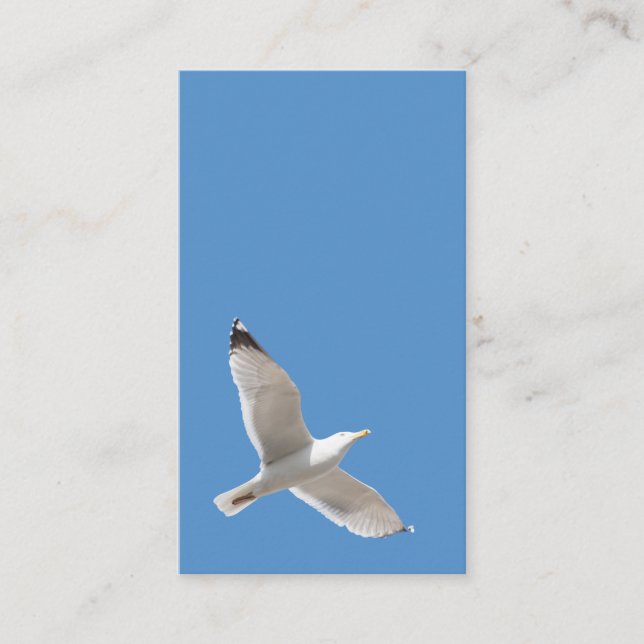 Flying gull business card (Front)