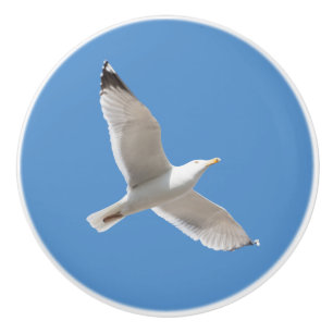 Flying gull ceramic knob