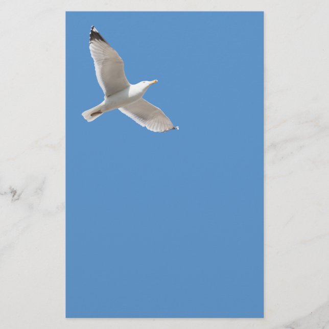 Flying gull flyer (Front)