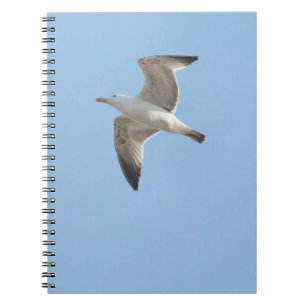 Flying gull notebook