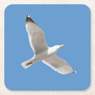 Flying gull square paper coaster